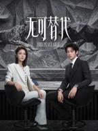 《无可替代》电视剧免费全集